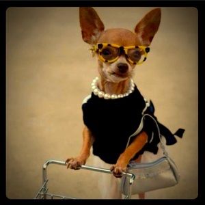 Meet your Posher, Jennifer